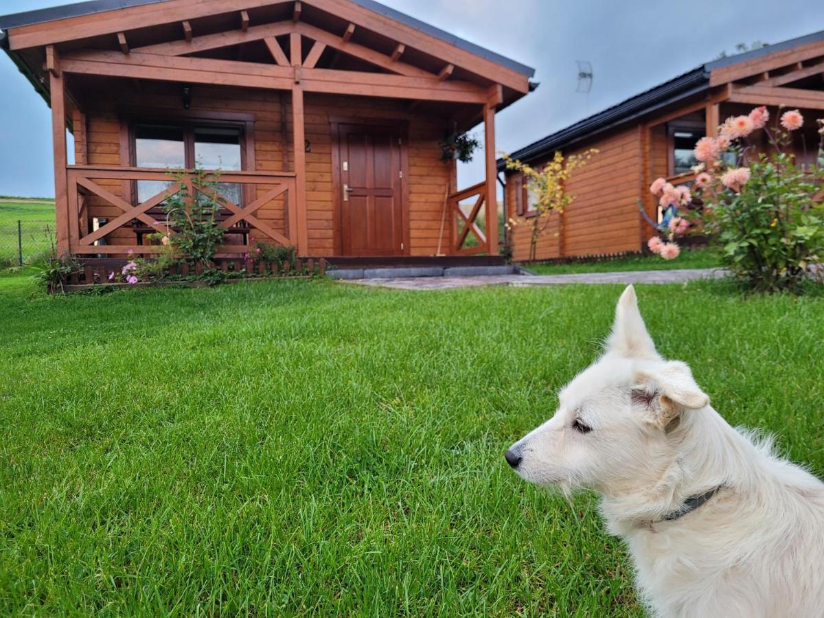 Domki Pod Lasem Villa Rokiciny Podhalanskie Exterior photo